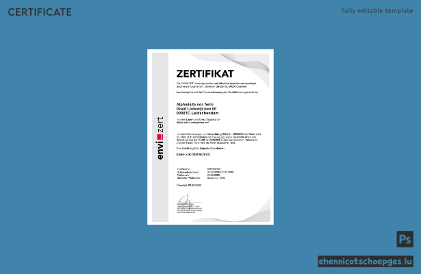 Deutschland Envizert GmbH Zertifikat PSD-Beispielvorschau